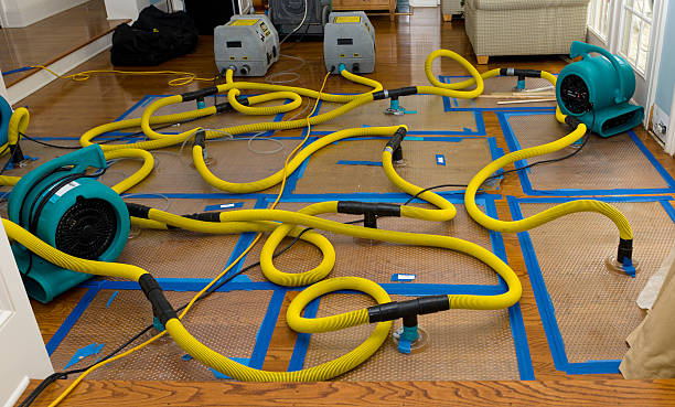 Professional Structural Drying And Dehumidification technician working in Calverton, MD
